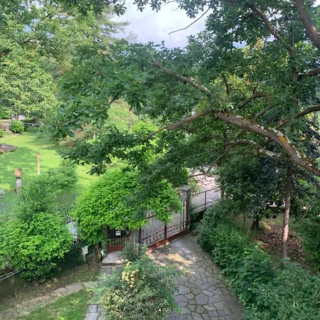 Nature - Joy Maison d'hôtes