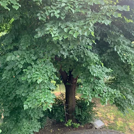 Nature - Joy Maison d'hôtes