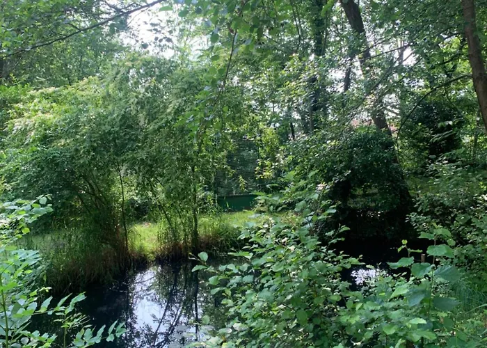 Pensión Nature - Joy *