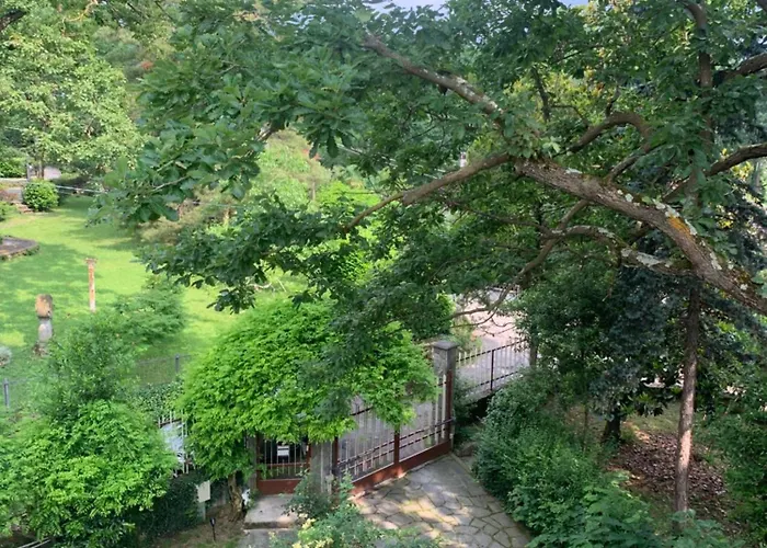 Nature - Joy Maison d'hôtes