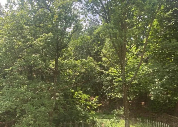 Nature - Joy Val della Torre