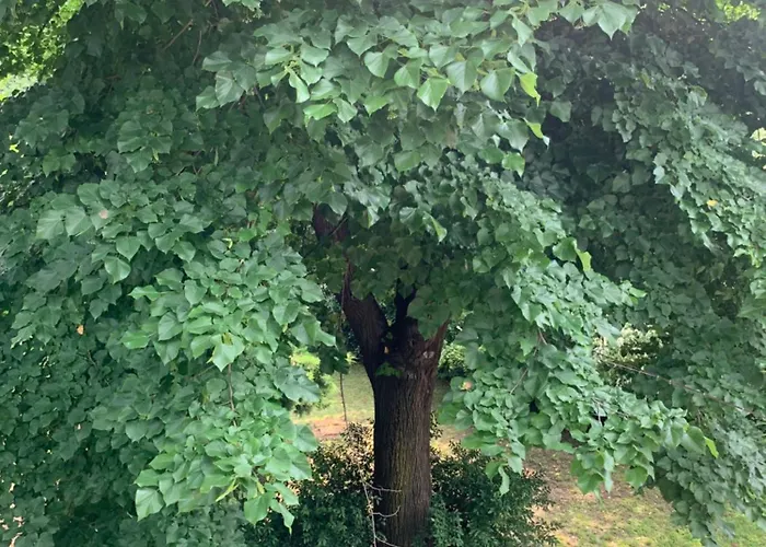 Nature - Joy Maison d'hôtes