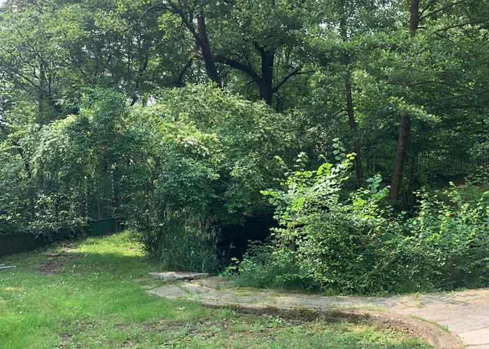 Nature - Joy Pensión *