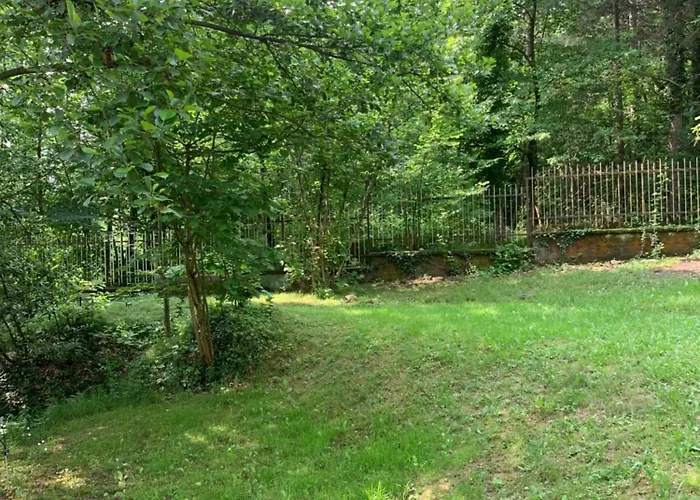 Nature - Joy Pensión *